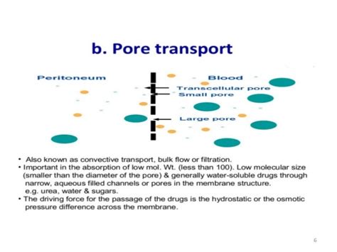 MECHANISMS OF DRUG ABSORPTION