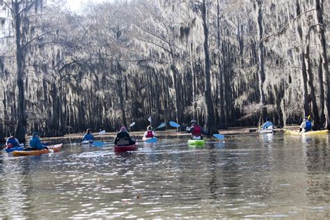 Outdoorstudies.com: Exploring Caddo Lake in January