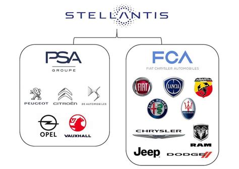 Stellantis: the group born from the merger of FCA and Peugeot is ...