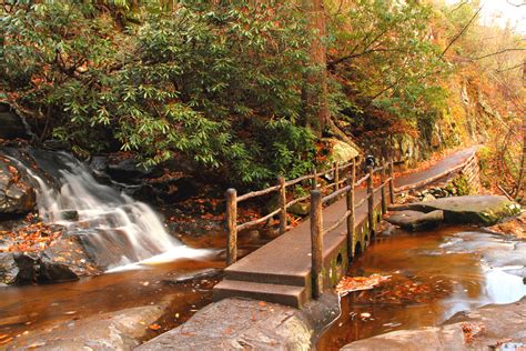 Laurel Falls Trail Tennessee