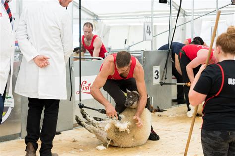 Donegal show to host international sheep shearing championship