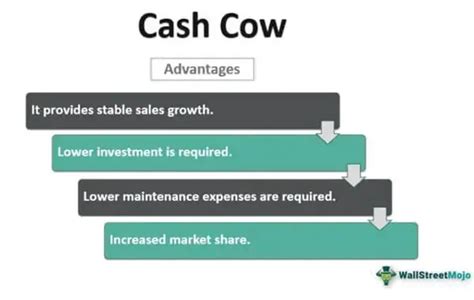 Cash Cow - Meaning, Examples, Strategy, BCG Matrix