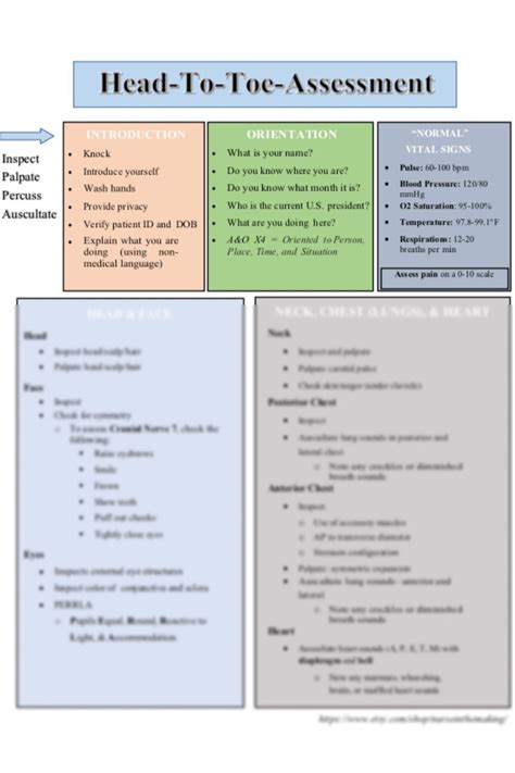 Head-To-Toe Assessment Guide Nursing Students Health | Etsy | Nursing school notes, Nursing ...