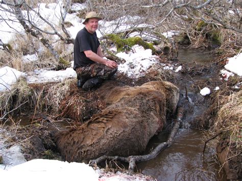 Kodiak Brown Bear Hunting - Jake Jefferson - Black River Hunting