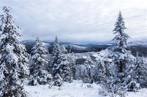 Premium Photo | Winter landscape from top of mountain in canada quebec