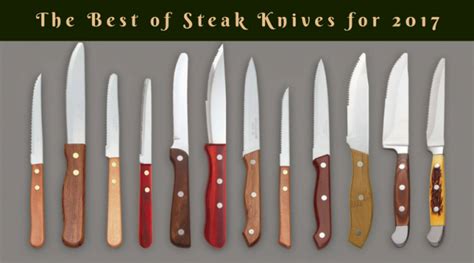 The Best Steak Knives of 2023 - Reviews and Buyer's Guide