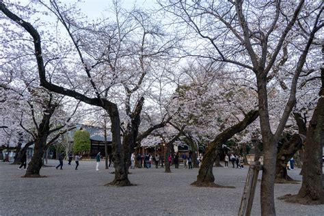 Yasukuni Shrine | Traveling Japan