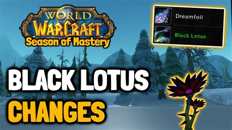 HUGE BLACK LOTUS DISCOVERY in Classic WoW Season of Mastery - YouTube