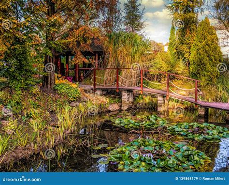 Garden with Pond and Wooden Bridge Stock Image - Image of bridge, arbor: 139868179