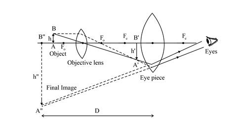 Compound Microscope Ray Diagram