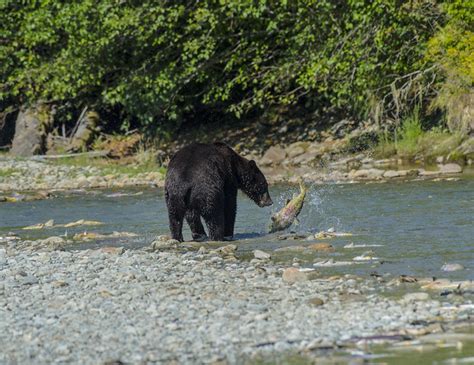 Ketchikan Misty Fjords Ranger District Office – public lands offices – Alaska Handbook