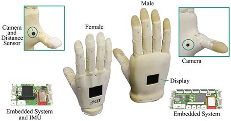 Frontiers | Designing Prosthetic Hands With Embodied Intelligence: The KIT Prosthetic Hands