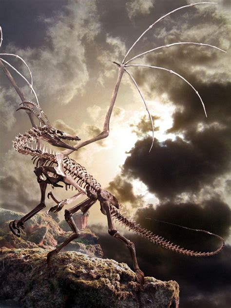 Dragon skeleton | Dragon skeleton, Fantasy dragon, Dragon art