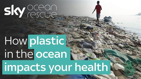 Report: How plastic in the Ocean impacts your health | #OceanRescue ...