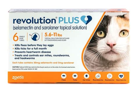 Best Flea Treatments for Cats and Dogs 2021 | Reviews by Wirecutter