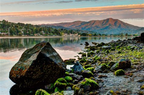 Mount Tamalpais Reflects Into Bay Water At Sunrise Stock Photo - Download Image Now - iStock