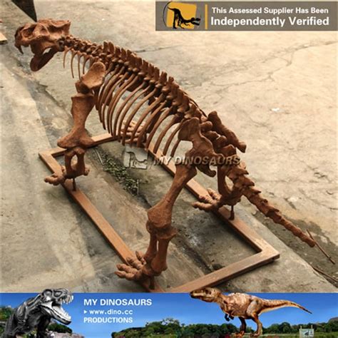 Lystrosaurus Fossil Skeleton Replica