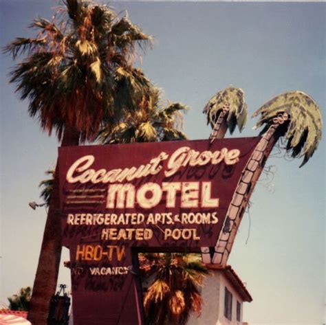 Coconut Grove Motel Phoenix, Arizona | Vintage neon signs, Motel, Retro sign