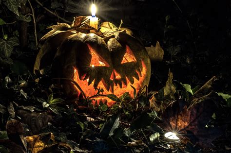 Spooky Candlelit Jack-o'-Lantern: A 4K Ultra HD Halloween Delight