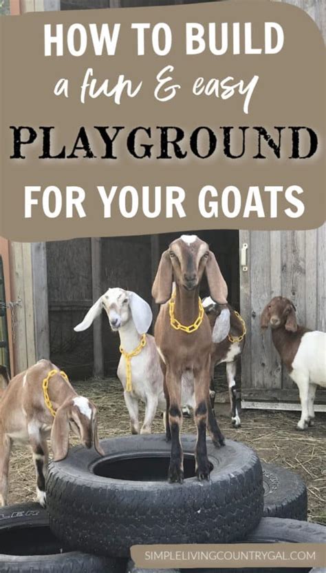 Goat Playground Ideas | Simple Living Country Gal