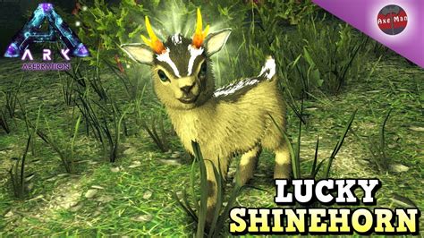 GETTING LUCKY TAMING A SHINEHORN | ARK ABERRATION DLC [EP12] - YouTube