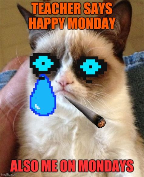 Grumpy Cat Meme - Imgflip