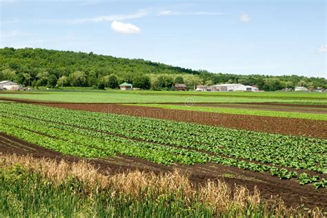 Fertile Farmland Stock Photo - Image: 22087190