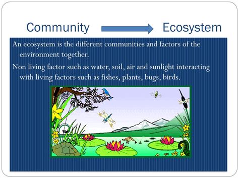 PPT - Classifying Organisms PowerPoint Presentation, free download - ID ...