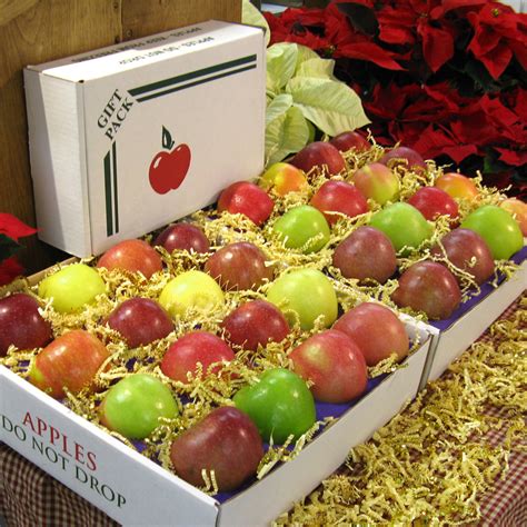 Apple Gift Box - 32 Count - Weavers Orchard