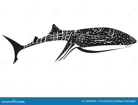 Whale Shark in White and Black Stock Vector - Illustration of black ...