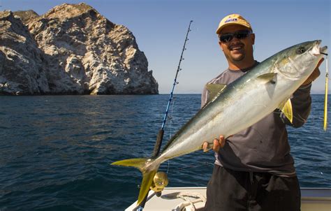 San Carlos fishing Fishing Report - December 03, 2013 | FISHTRACK.COM