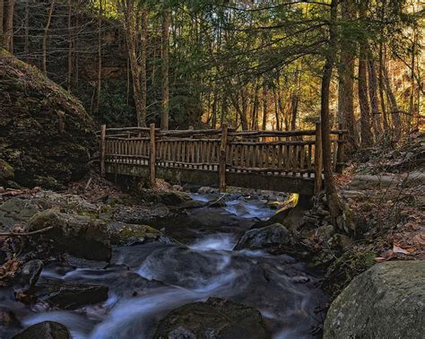 Old Wooden Bridge Over Pond Run Creek. Photograph by Dave Sandt