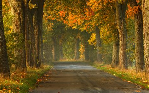 Ignite Your Wanderlust with 100 Images of The Open Road - The Shutterstock Blog