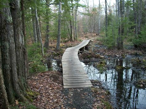 Bradbury Mountain State Park - Mountain Biking Trails - Maine Trail Finder