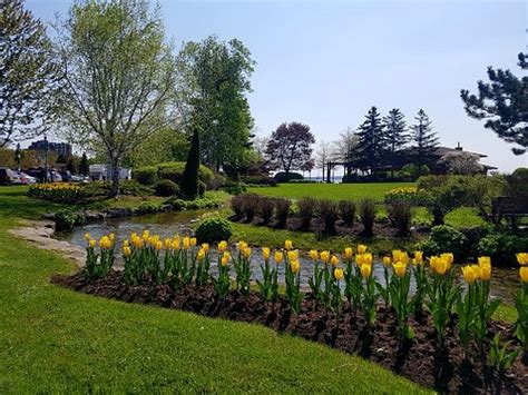 THE 15 BEST Things to Do in Barrie (2024) - Must-See Attractions