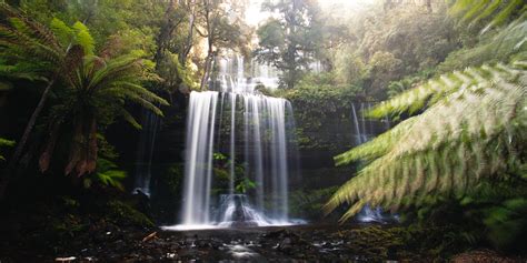 Visiting Russell Falls Tasmania: The Most Iconic Tassie Waterfall – We Seek Travel Blog