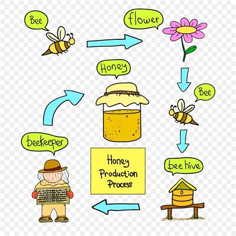 Honey Product Vector Hd PNG Images, Honey Production Process, Honey ...