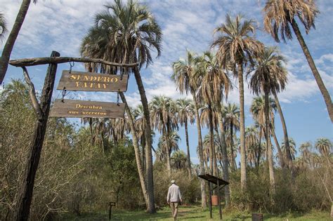 Nature paradise Argentina-Nationalpark El Palmar - Trekkingchile EN