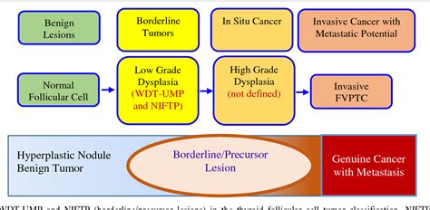 Figure 1 from Non-invasive Follicular Thyroid Neoplasm with Papillary-like Nuclear Features ...
