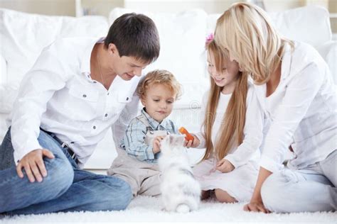 Caring for a pet stock image. Image of offspring, lifestyles - 16489219