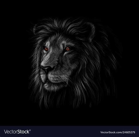 Portrait of a lion head on a black background Vector Image