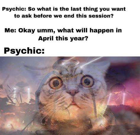 Cat psychic Blank Template - Imgflip