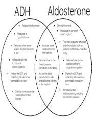 3.4.4. Venn Diagram.pdf - Aldosterone ADH Released with the function of ...