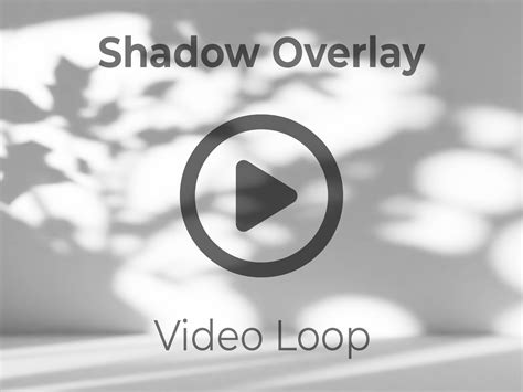 Animated Leaf Shadow Video Loop Create Your Own Mockups With Instructions 4k Resolution Gobo ...