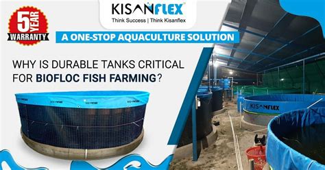 Why Is Durable Tanks Critical For Biofloc Fish Farming