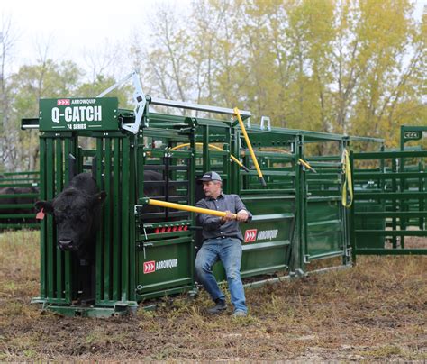 Arrowquip: Next generation of cattle-handling and equipment | AGDAILY