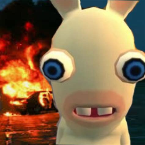 Rabbids Invasion | Funny profile pictures, Really funny pictures, Mood pics