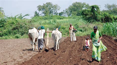 The boon from rural India