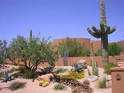 Image result for simple desert backyard ideas | Desert landscape design ...