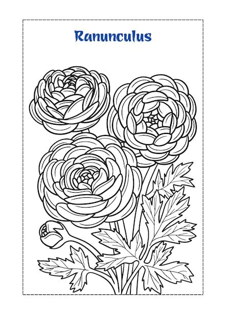 Premium Vector | Flower coloring book